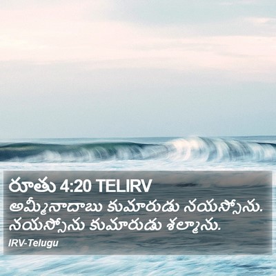 రూతు 4:20 TELIRV Bible Verse Image