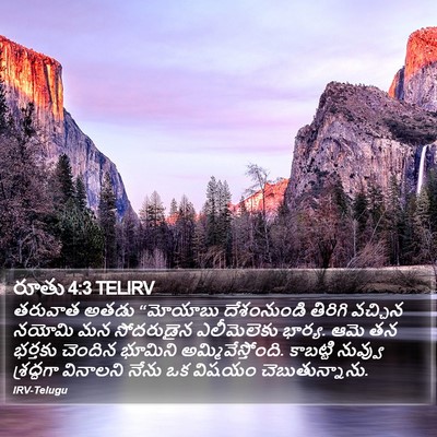 రూతు 4:3 TELIRV Bible Verse Image