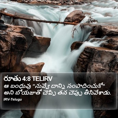 రూతు 4:8 TELIRV Bible Verse Image