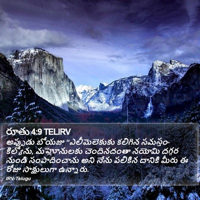 రూతు 4:9 TELIRV Bible Verse Image
