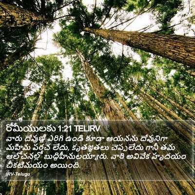 రోమీయులకు 1:21 TELIRV Bible Verse Image
