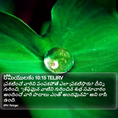 రోమీయులకు 10:15 TELIRV Bible Verse Image