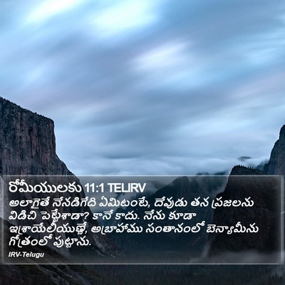 రోమీయులకు 11:1 TELIRV Bible Verse Image