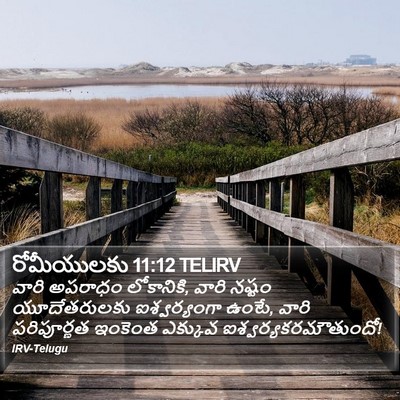 రోమీయులకు 11:12 TELIRV Bible Verse Image