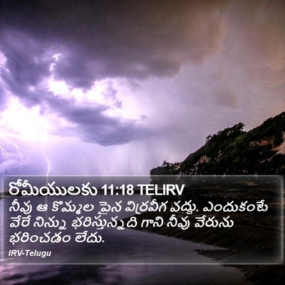 రోమీయులకు 11:18 TELIRV Bible Verse Image