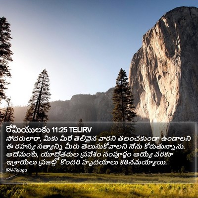 రోమీయులకు 11:25 TELIRV Bible Verse Image