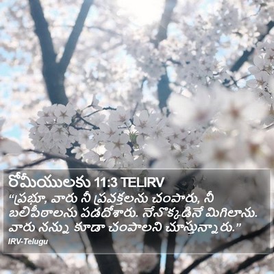 రోమీయులకు 11:3 TELIRV Bible Verse Image