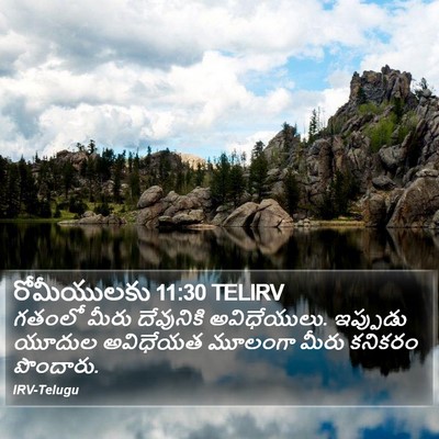 రోమీయులకు 11:30 TELIRV Bible Verse Image