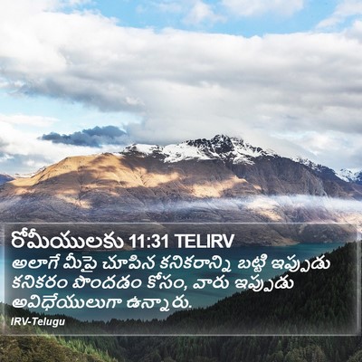 రోమీయులకు 11:31 TELIRV Bible Verse Image