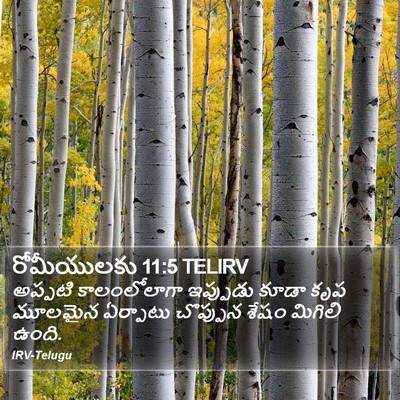 రోమీయులకు 11:5 TELIRV Bible Verse Image