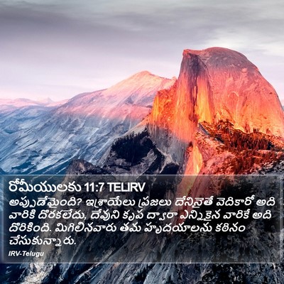 రోమీయులకు 11:7 TELIRV Bible Verse Image