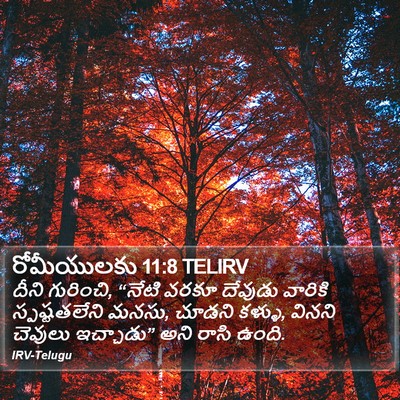 రోమీయులకు 11:8 TELIRV Bible Verse Image
