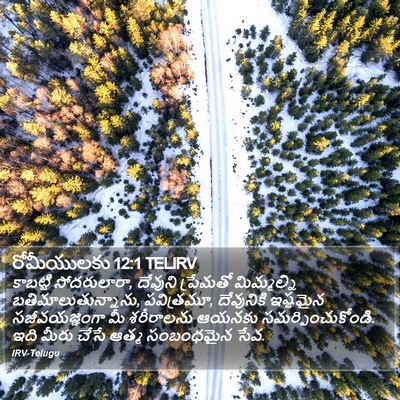 రోమీయులకు 12:1 TELIRV Bible Verse Image