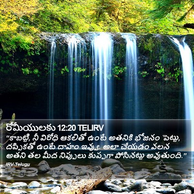 రోమీయులకు 12:20 TELIRV Bible Verse Image