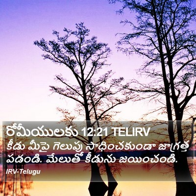 రోమీయులకు 12:21 TELIRV Bible Verse Image