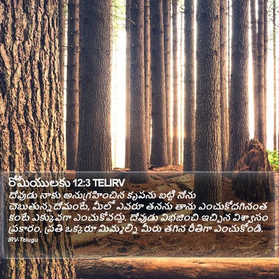 రోమీయులకు 12:3 TELIRV Bible Verse Image