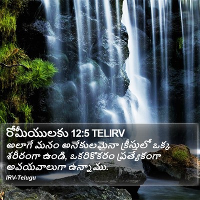 రోమీయులకు 12:5 TELIRV Bible Verse Image