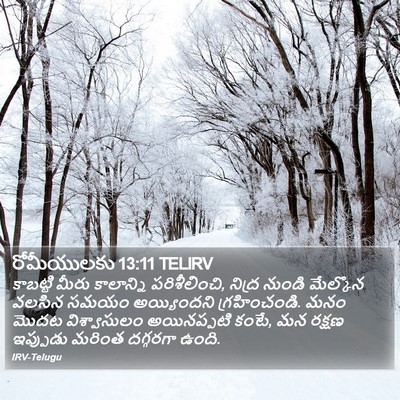 రోమీయులకు 13:11 TELIRV Bible Verse Image