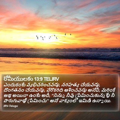 రోమీయులకు 13:9 TELIRV Bible Verse Image