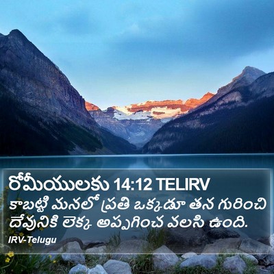 రోమీయులకు 14:12 TELIRV Bible Verse Image