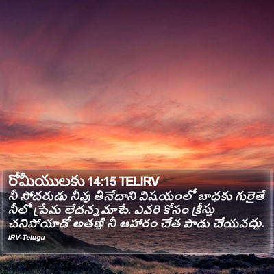 రోమీయులకు 14:15 TELIRV Bible Verse Image