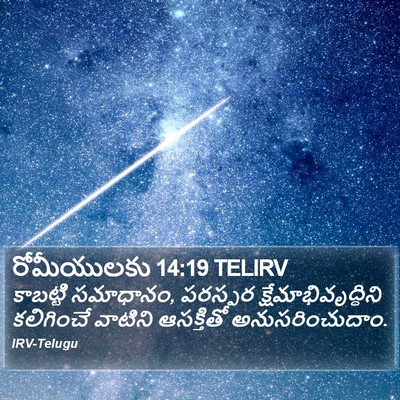 రోమీయులకు 14:19 TELIRV Bible Verse Image