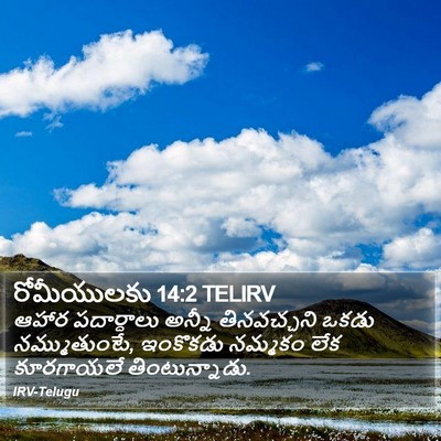 రోమీయులకు 14:2 TELIRV Bible Verse Image