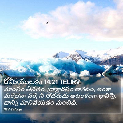 రోమీయులకు 14:21 TELIRV Bible Verse Image