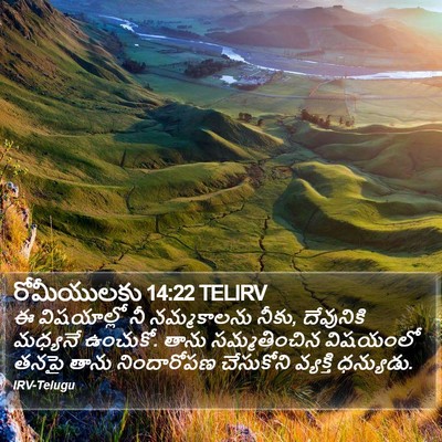 రోమీయులకు 14:22 TELIRV Bible Verse Image