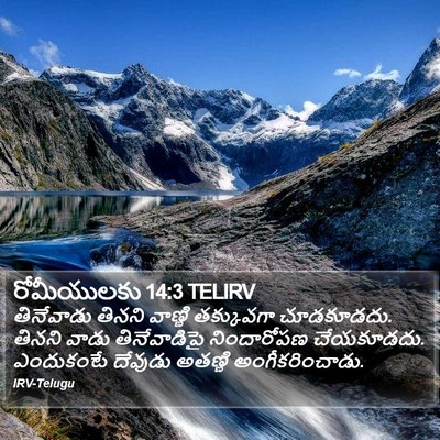 రోమీయులకు 14:3 TELIRV Bible Verse Image