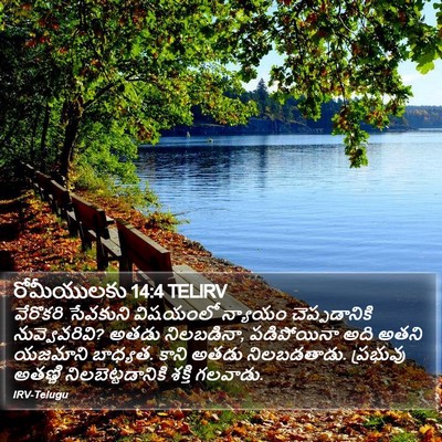 రోమీయులకు 14:4 TELIRV Bible Verse Image