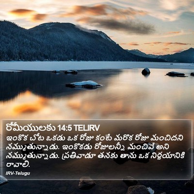 రోమీయులకు 14:5 TELIRV Bible Verse Image