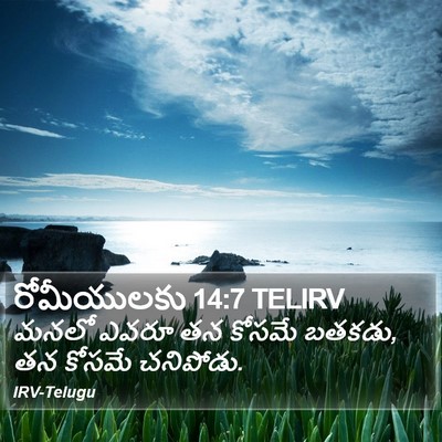 రోమీయులకు 14:7 TELIRV Bible Verse Image
