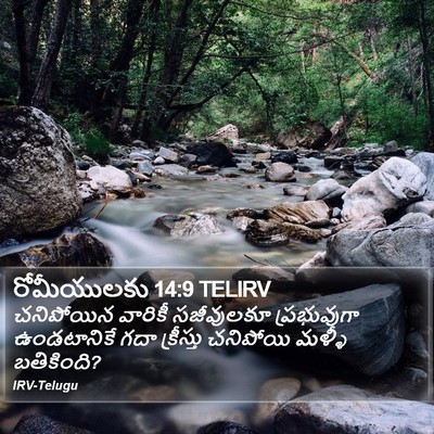 రోమీయులకు 14:9 TELIRV Bible Verse Image