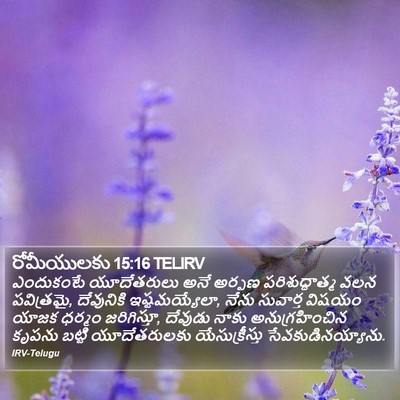 రోమీయులకు 15:16 TELIRV Bible Verse Image