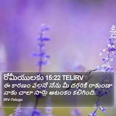 రోమీయులకు 15:22 TELIRV Bible Verse Image