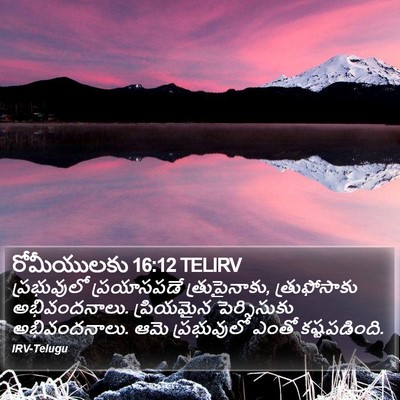 రోమీయులకు 16:12 TELIRV Bible Verse Image
