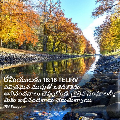 రోమీయులకు 16:16 TELIRV Bible Verse Image