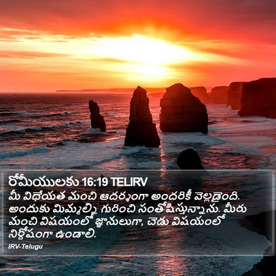 రోమీయులకు 16:19 TELIRV Bible Verse Image