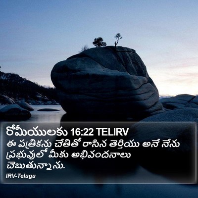 రోమీయులకు 16:22 TELIRV Bible Verse Image