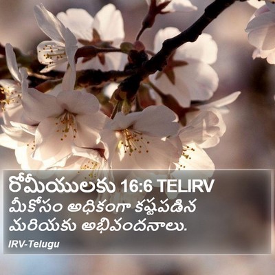 రోమీయులకు 16:6 TELIRV Bible Verse Image