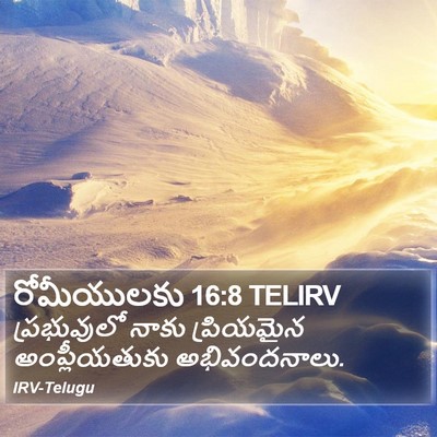 రోమీయులకు 16:8 TELIRV Bible Verse Image