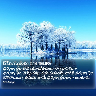 రోమీయులకు 2:14 TELIRV Bible Verse Image