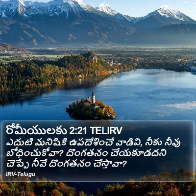 రోమీయులకు 2:21 TELIRV Bible Verse Image