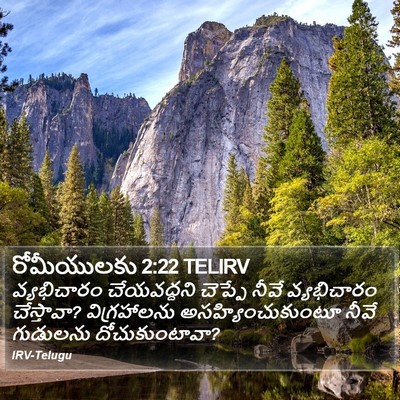 రోమీయులకు 2:22 TELIRV Bible Verse Image
