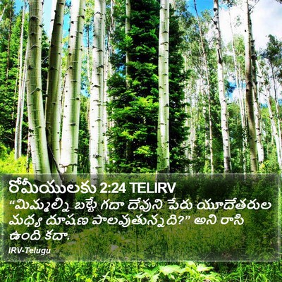 రోమీయులకు 2:24 TELIRV Bible Verse Image