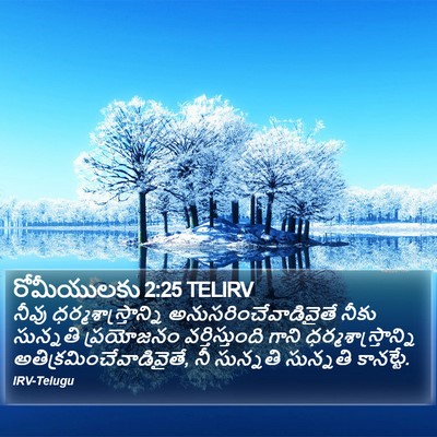 రోమీయులకు 2:25 TELIRV Bible Verse Image