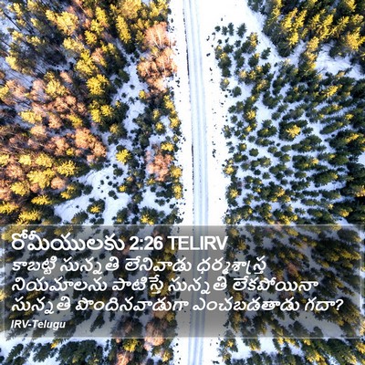 రోమీయులకు 2:26 TELIRV Bible Verse Image