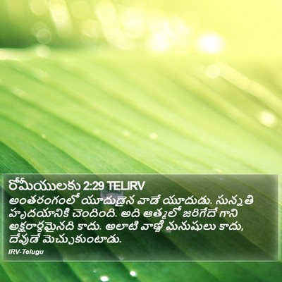 రోమీయులకు 2:29 TELIRV Bible Verse Image