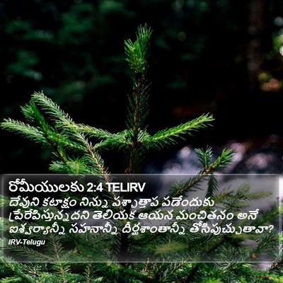రోమీయులకు 2:4 TELIRV Bible Verse Image